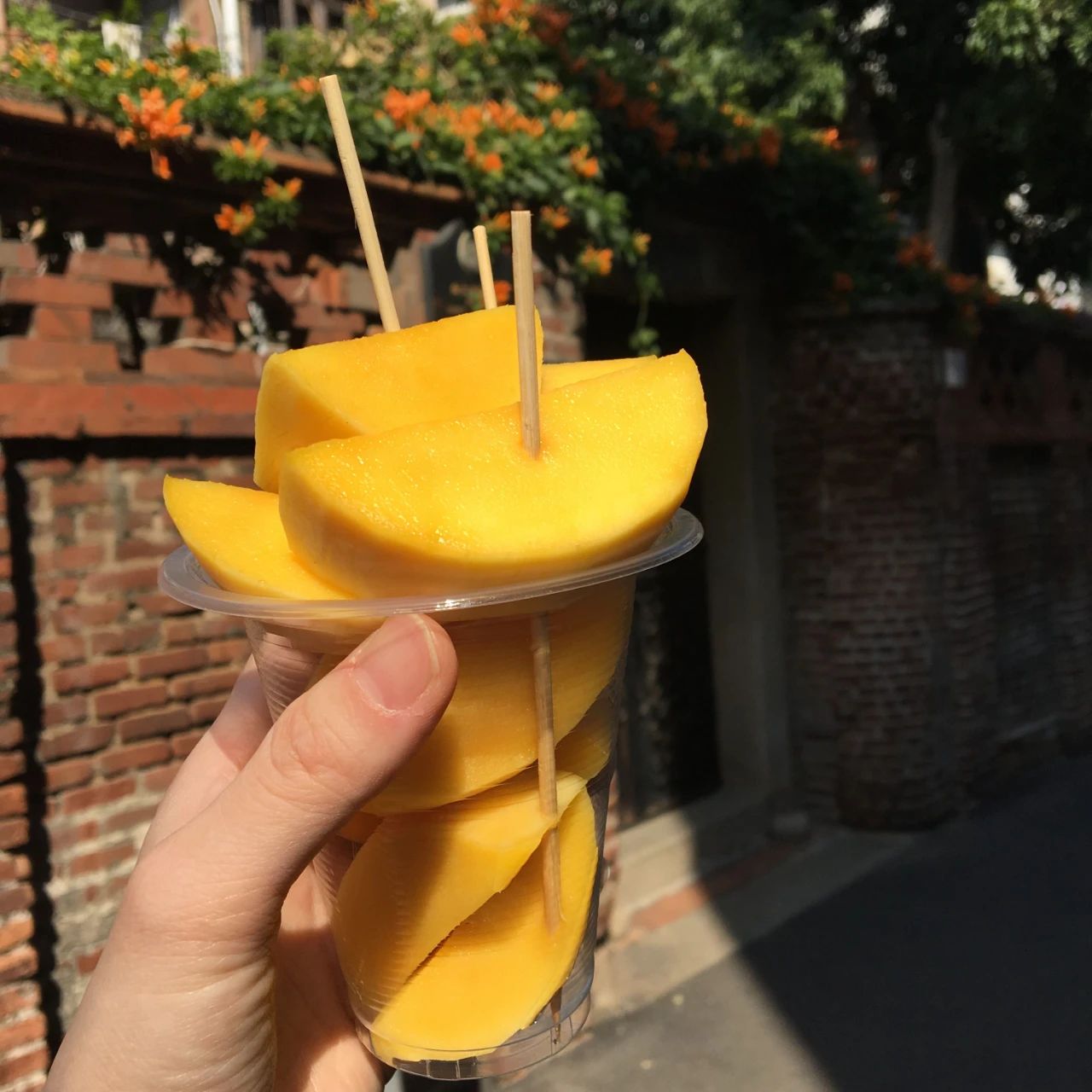 我国成为全球百岁老人最多的国家!这个省份最多,原因是这7点! 我国成为全球百岁老人最多的国家!这个省份最多,原因是这7点!