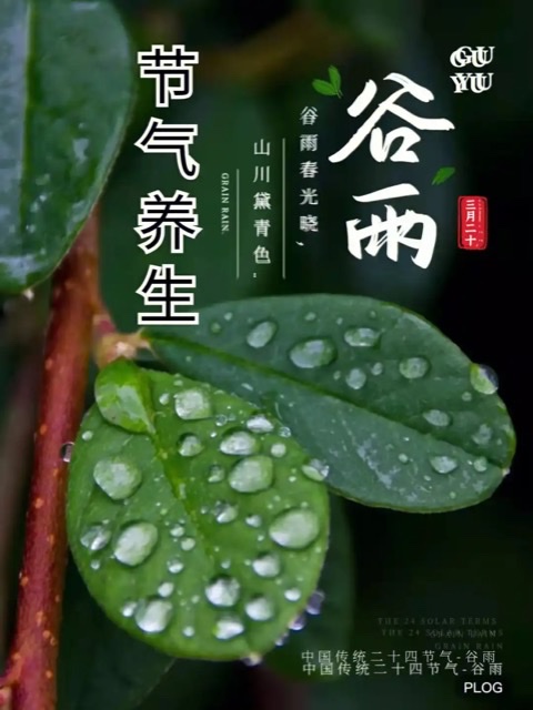 ʱڻ
