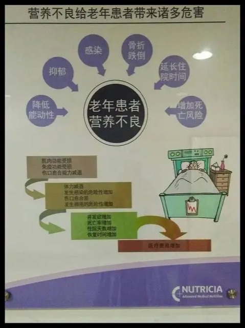 破解老年人营养不良密码:营养补充之道 破解老年人营养不良密码:营养补充之道