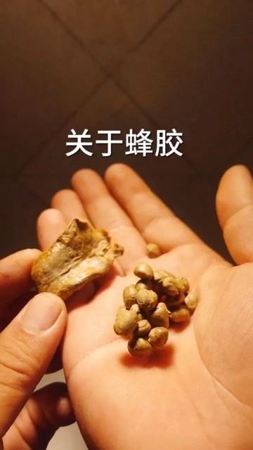 解码蜂胶:多维度科学探究其功效奥秘 解码蜂胶:多维度科学探究其功效奥秘