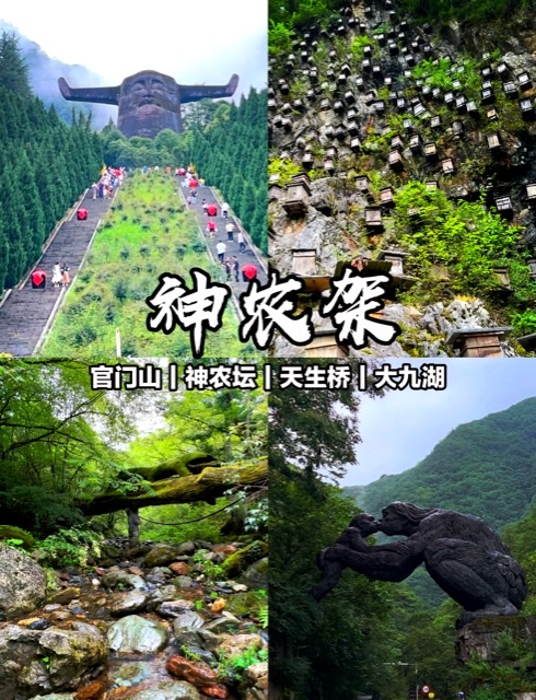 寻迹神农架:森林、峰巅、大九湖与挂壁蜂箱之约 寻迹神农架:森林、峰巅、大九湖与挂壁蜂箱之约