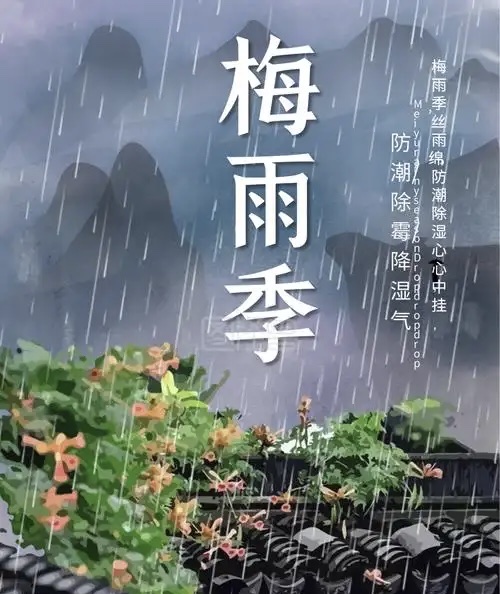 Ӧ÷꼾ʪȱһ