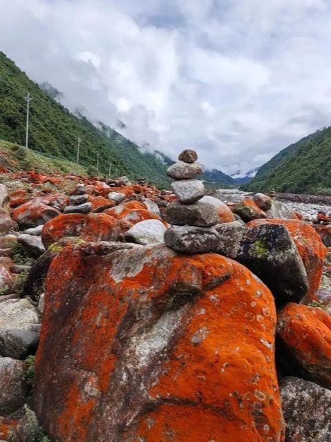 川西小环线:一场专为老年人打造的心灵与健康之旅 川西小环线:一场专为老年人打造的心灵与健康之旅