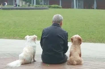 롱Զ⼸ӵ