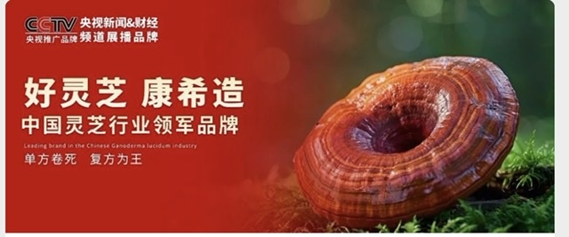 探寻“好灵芝 康希造”背后:安徽康希药业的全方位发展密码 探寻“好灵芝 康希造”背后:安徽康希药业的全方位发展密码