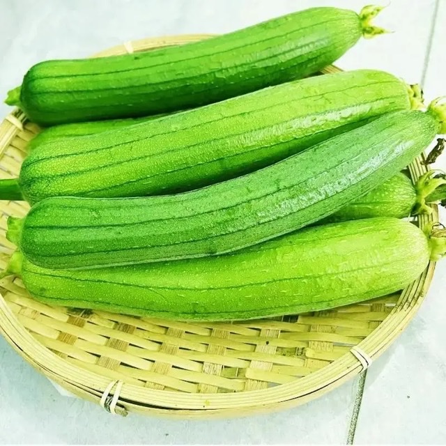 被低估的营养明星——丝瓜的夏日“滋补经” 被低估的营养明星——丝瓜的夏日“滋补经”
