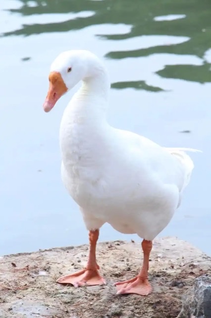 :æҲҪ5ͷˡˮ