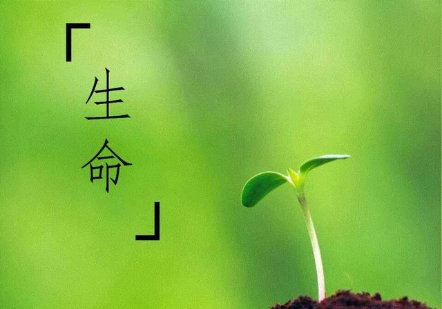 从“活着”开始,意义自然来 从“活着”开始,意义自然来