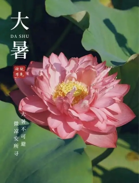 大暑话养生:在“上蒸下煮”里守住健康 大暑话养生:在“上蒸下煮”里守住健康
