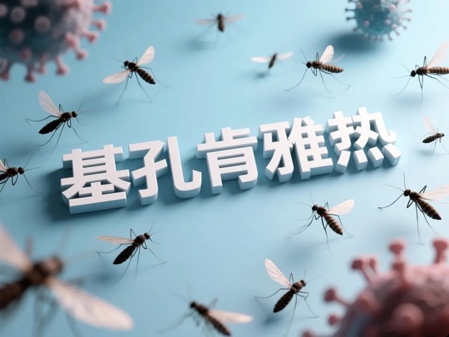 基孔肯雅热:警惕“花蚊子”掀起的全球健康警报 基孔肯雅热:警惕“花蚊子”掀起的全球健康警报