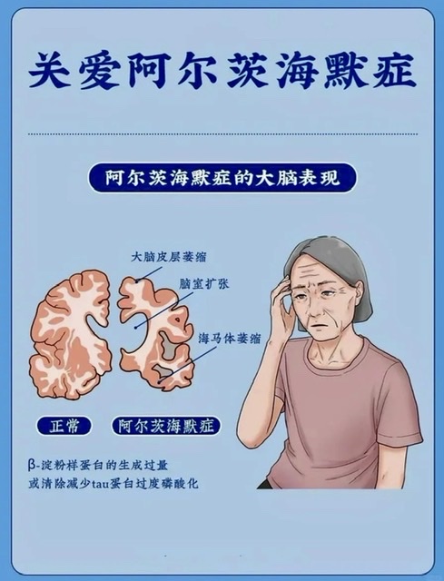 记忆的星光,亦可守护。 记忆的星光,亦可守护。