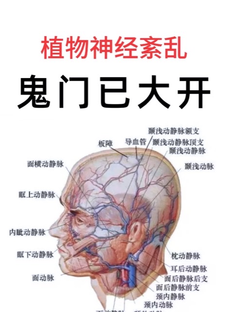 关注老年植物神经紊乱:那些难以言说的难受 关注老年植物神经紊乱:那些难以言说的难受