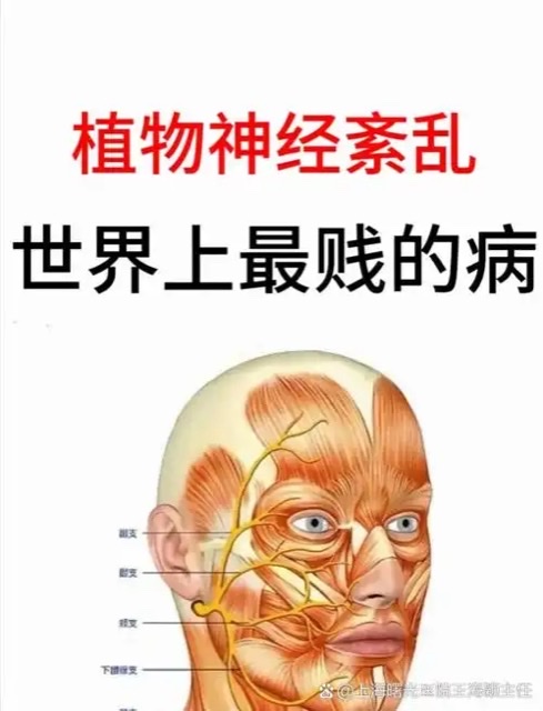 关注老年植物神经紊乱:那些难以言说的难受 关注老年植物神经紊乱:那些难以言说的难受