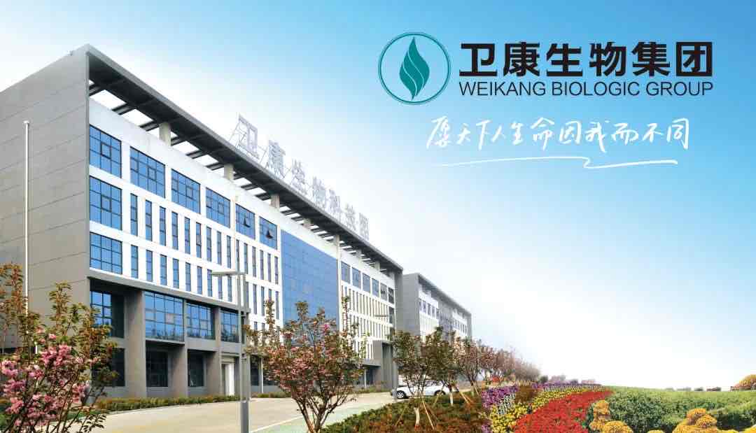 从“梧桐树”到“凤凰榜”:卫康扎根临沂,凭科创与责任书写发展新篇 从“梧桐树”到“凤凰榜”:卫康扎根临沂,凭科创与责任书写发展新篇