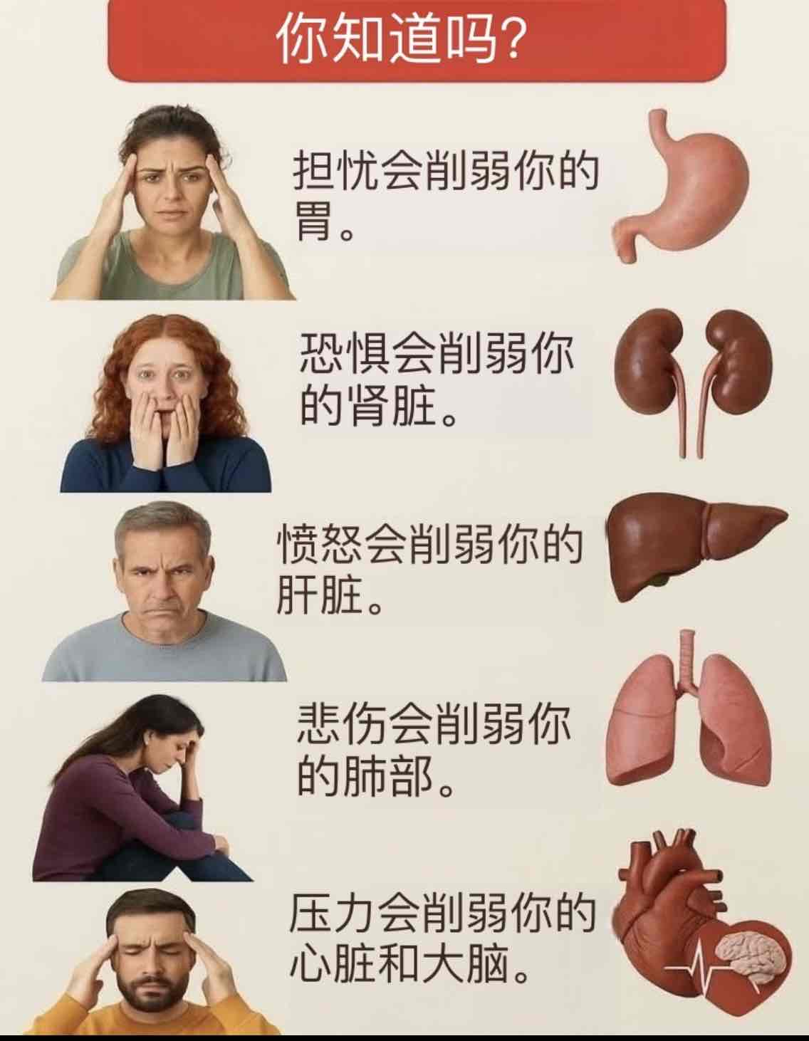 情绪,身体器官健康的“无形推手” 情绪,身体器官健康的“无形推手”