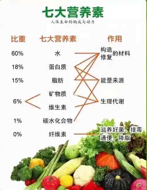 认识“营养”与“营养素”:读懂身体的“能量密码” 认识“营养”与“营养素”:读懂身体的“能量密码”