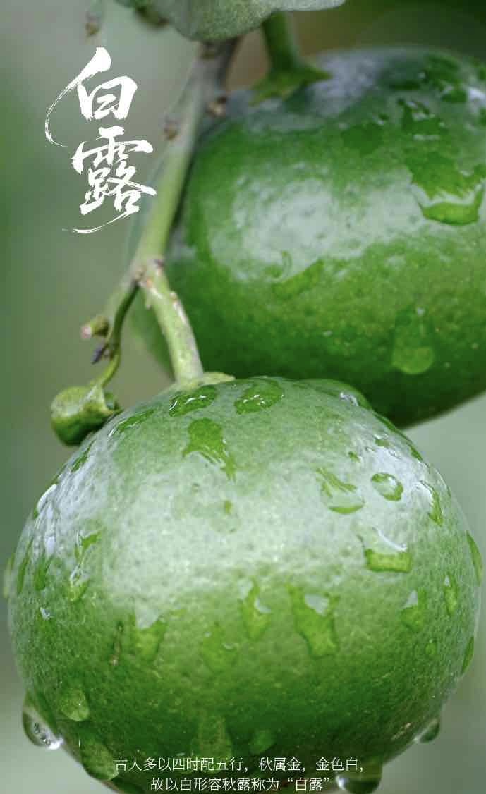 白露至,秋意浓:老年人养生正当时 白露至,秋意浓:老年人养生正当时