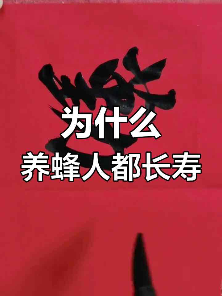 养蜂人更长寿?答案藏在他们与蜂为伴的日常里 养蜂人更长寿?答案藏在他们与蜂为伴的日常里