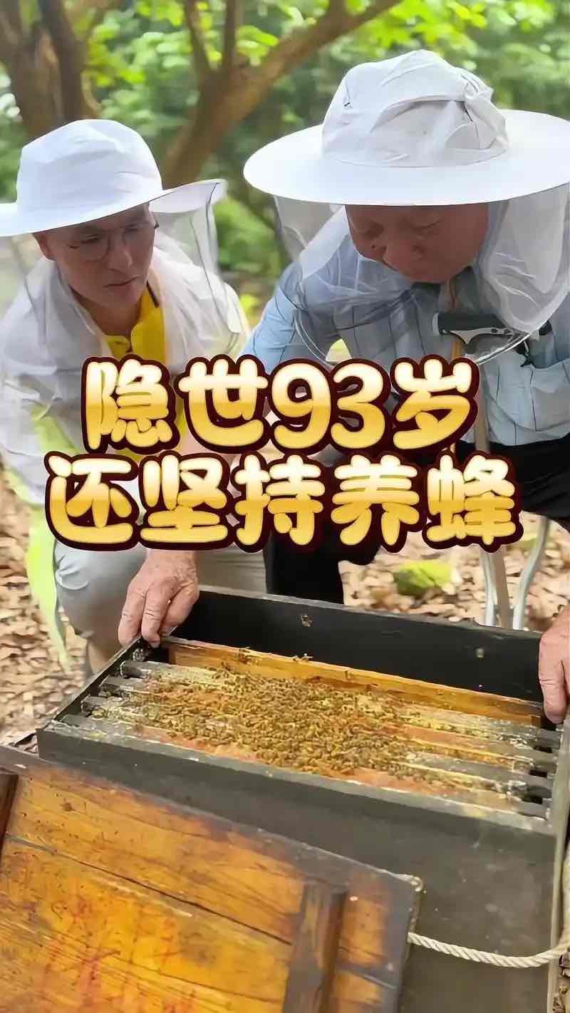 养蜂人更长寿?答案藏在他们与蜂为伴的日常里 养蜂人更长寿?答案藏在他们与蜂为伴的日常里