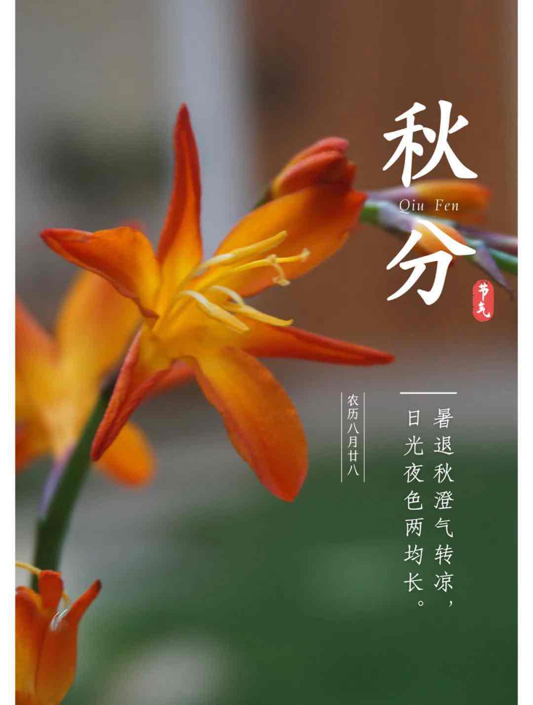 老年人秋分怎么养?记住“养阴、保暖、调心”三大核心 老年人秋分怎么养?记住“养阴、保暖、调心”三大核心