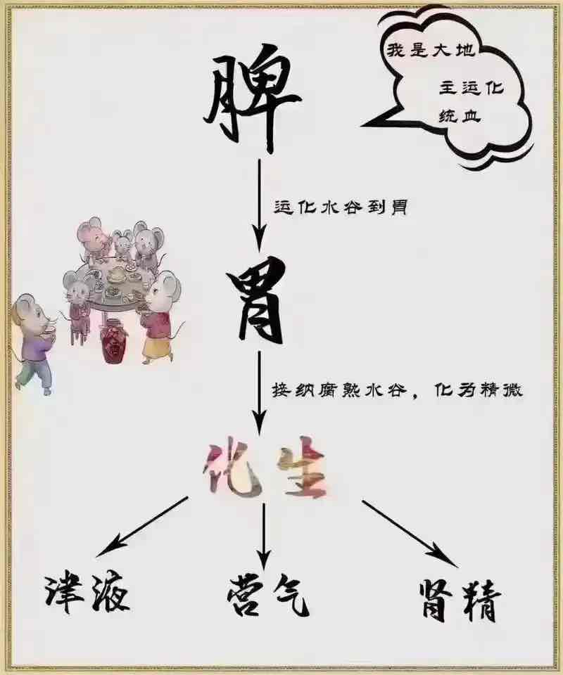 养好老人脾胃,就是守住健康根基!这5类食物是脾胃“偏爱”的滋养品 养好老人脾胃,就是守住健康根基!这5类食物是脾胃“偏爱”的滋养品