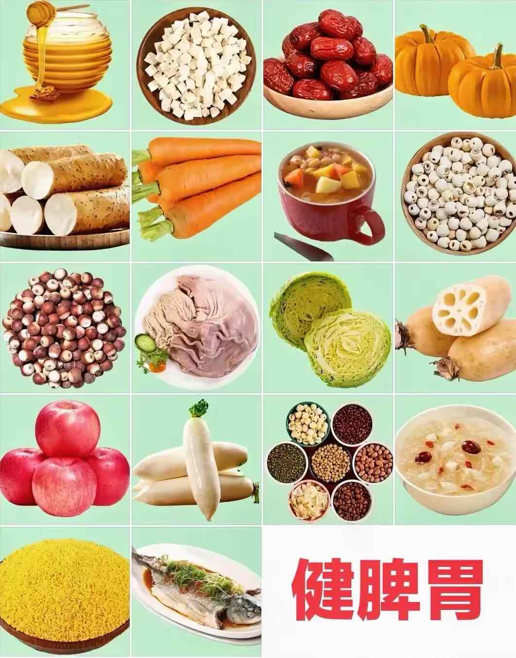 养好老人脾胃,就是守住健康根基!这5类食物是脾胃“偏爱”的滋养品 养好老人脾胃,就是守住健康根基!这5类食物是脾胃“偏爱”的滋养品