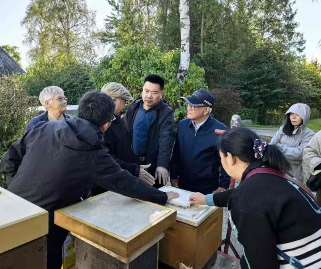 跨越国界的蜂事对话:丹麦蜂场里的独特智慧 跨越国界的蜂事对话:丹麦蜂场里的独特智慧
