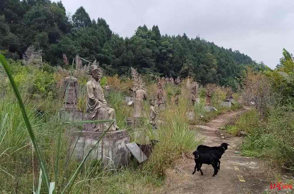 “希望的田野”为何荒芜:乡村旅游“烂尾”迷局追问 “希望的田野”为何荒芜:乡村旅游“烂尾”迷局追问