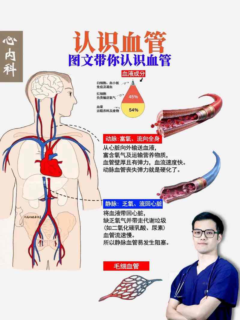 血管悄悄“变老”?身体这几个表现别忽视,避开中风心梗要趁早 血管悄悄“变老”?身体这几个表现别忽视,避开中风心梗要趁早