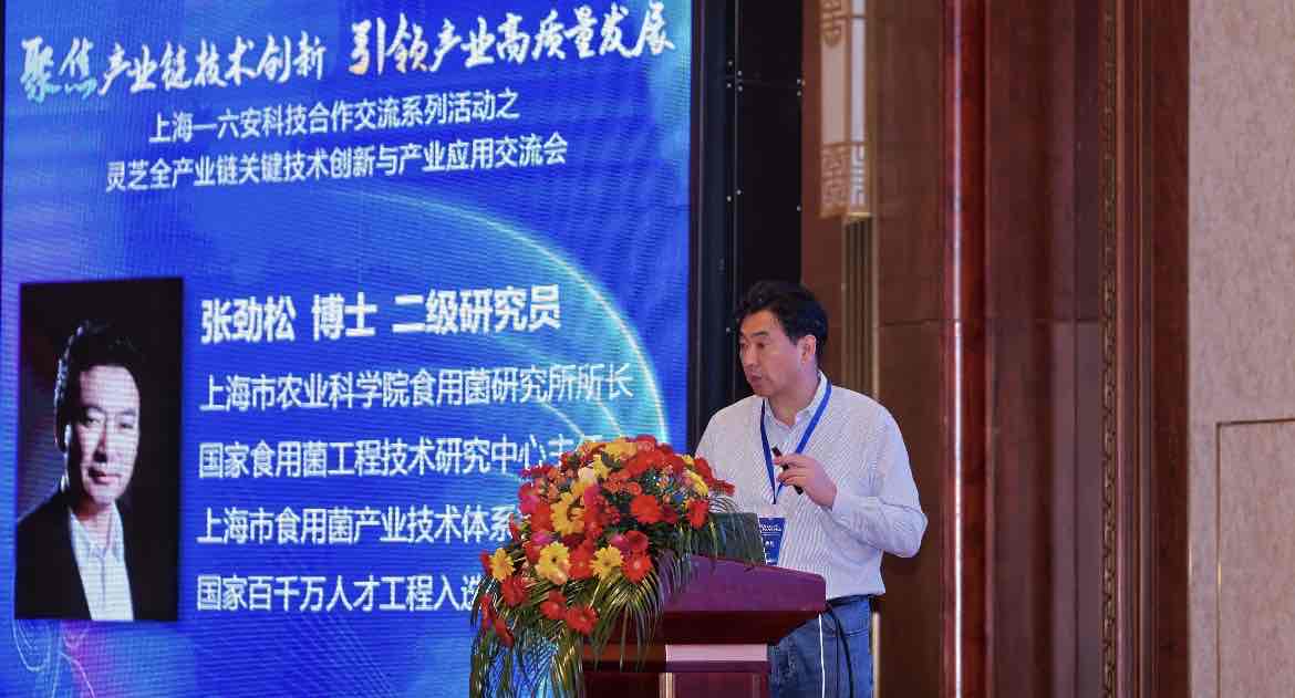 权威观点|张劲松:长三角区域如何重塑食药菌全产业链? 权威观点|张劲松:长三角区域如何重塑食药菌全产业链?