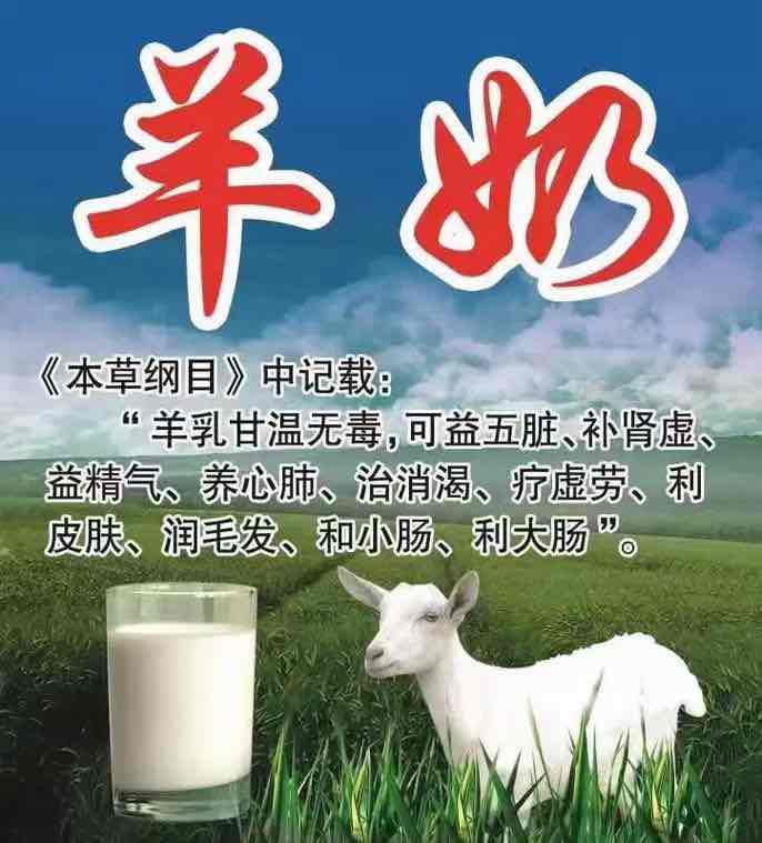 中老年人为何青睐配方羊奶?医生拆解健康密码 中老年人为何青睐配方羊奶?医生拆解健康密码