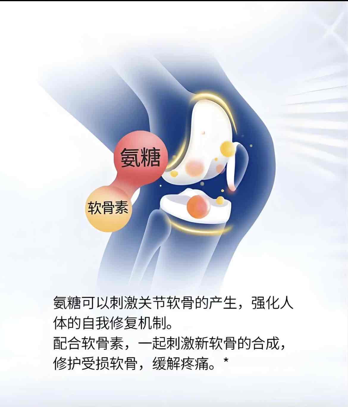 氨糖的巧搭配:骨关节炎改善新思路,修复止痛一步到位 氨糖的巧搭配:骨关节炎改善新思路,修复止痛一步到位