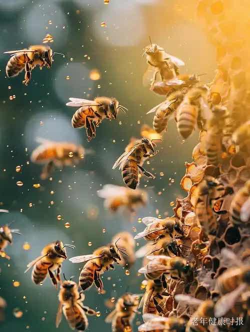 �����е����У����۵�ս������