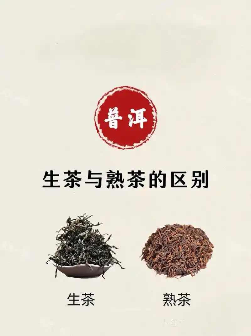老年人喝普洱茶的真相:“喝生不喝熟”是误区,对症选才健康 老年人喝普洱茶的真相:“喝生不喝熟”是误区,对症选才健康