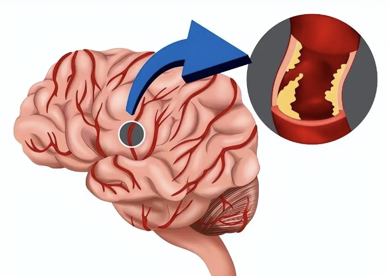 ���裡����������Ӳ���������Թ��ġ����ͨ뺡�