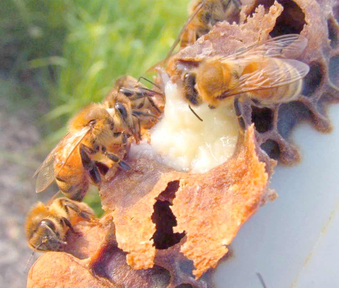 �����빤���������30��������������ų�������