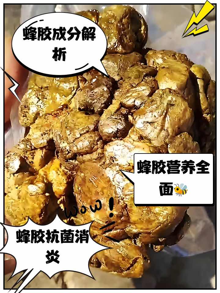 蜂胶护肝的双重密码:调节代谢+平衡肠道菌群 蜂胶护肝的双重密码:调节代谢+平衡肠道菌群