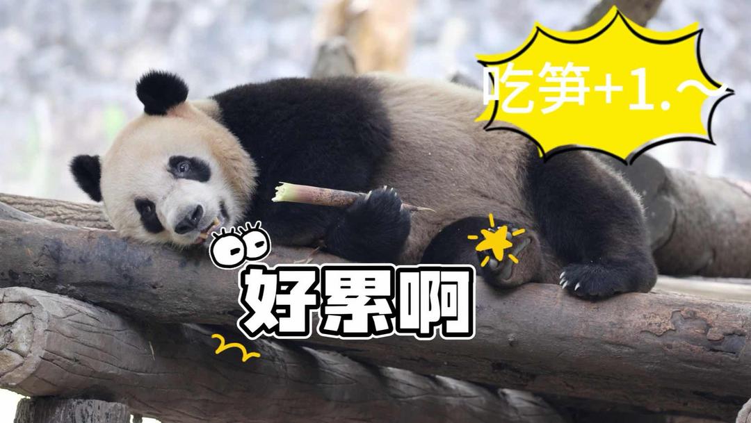 Խ��Խ��ԣ�ԭ�����ǡ�ѹ�����ڸ����������������Ҫ����ʳ����