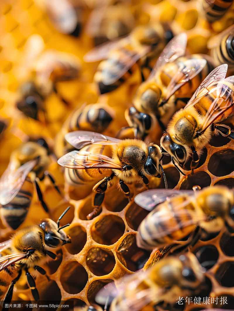 ���������ҵ����������޸����ӡ� �������꽡������������