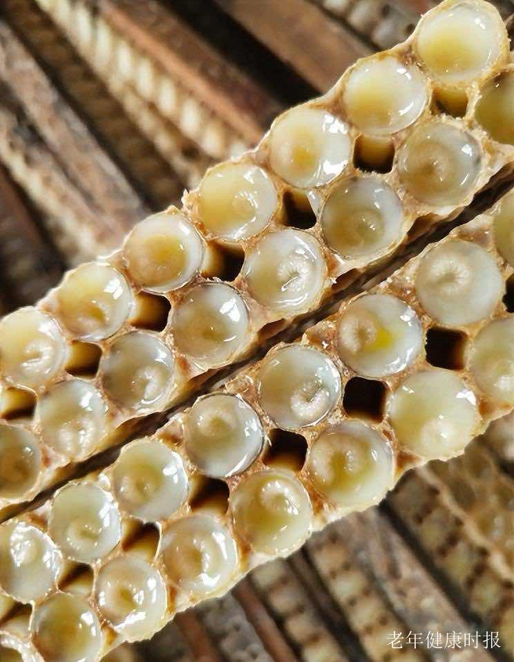 ���������ҵ����������޸����ӡ� �������꽡������������