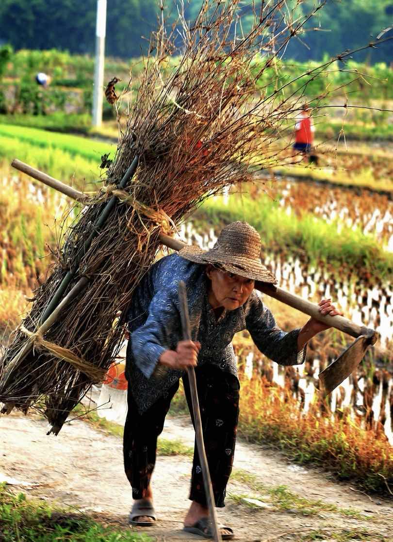 ���衰��Ч�ڷܡ������˳Կ࣬�㻹�ܿ�ʲô���㣿