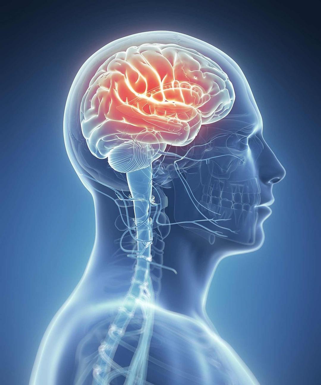 ���ó���ҩ���˴��ԣ������꾯���⼸��ҩ��Զ��մ�����