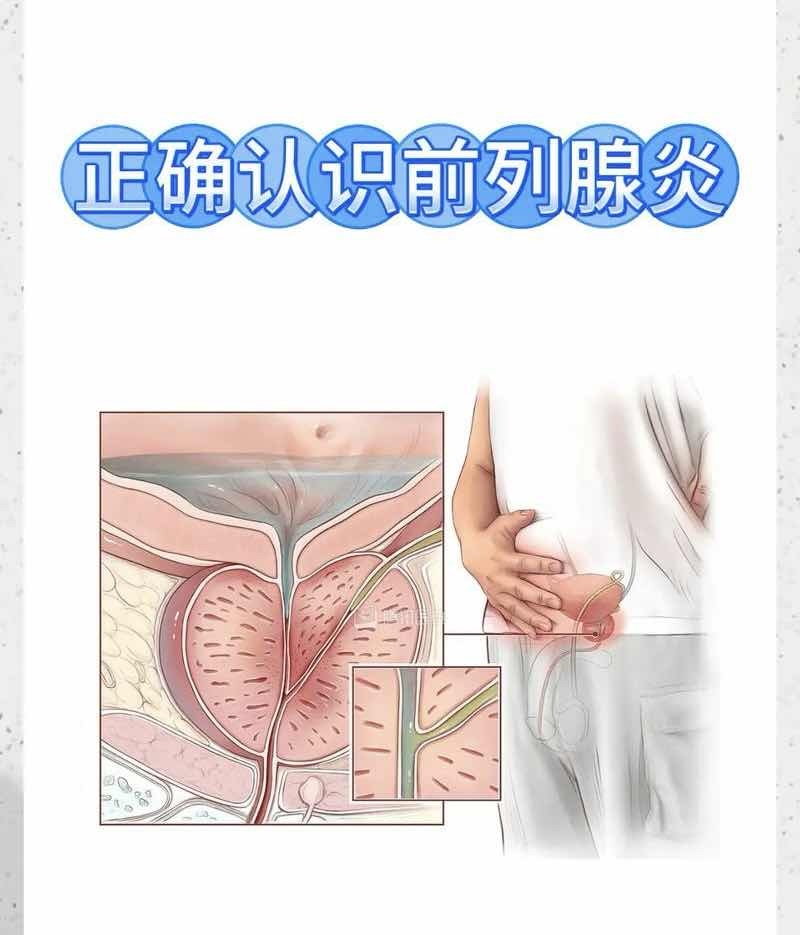 ���������ҹ��Ƶ��������ǰ���ٵĽ�������