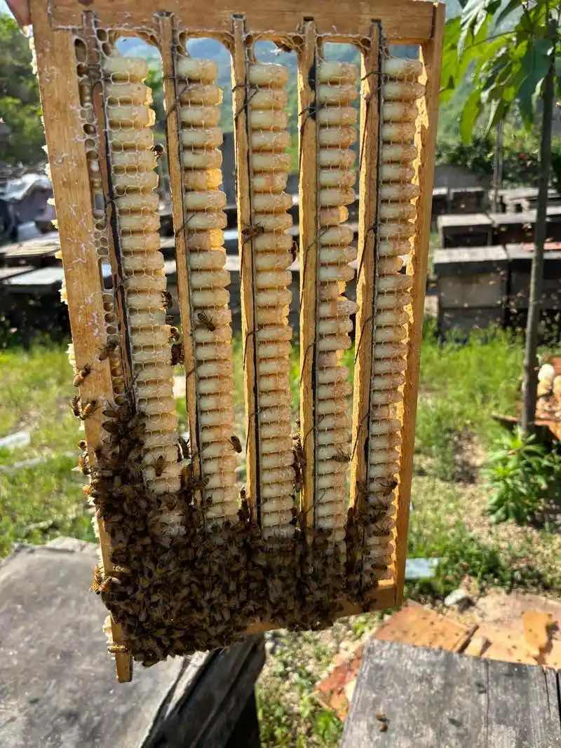 ��Ʒ���������� �ŷ�ʳ������