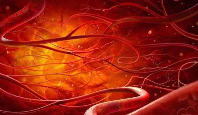 ����Ѫ����������ȫ���ġ�΢СѪ������