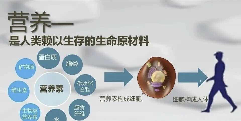 营养非药,何以调病?老年健康的科学答案 营养非药,何以调病?老年健康的科学答案