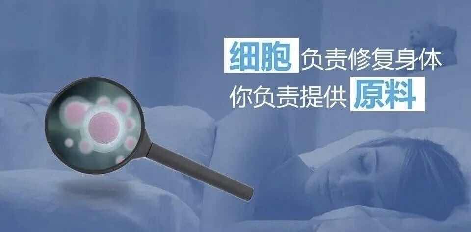 营养非药,何以调病?老年健康的科学答案 营养非药,何以调病?老年健康的科学答案