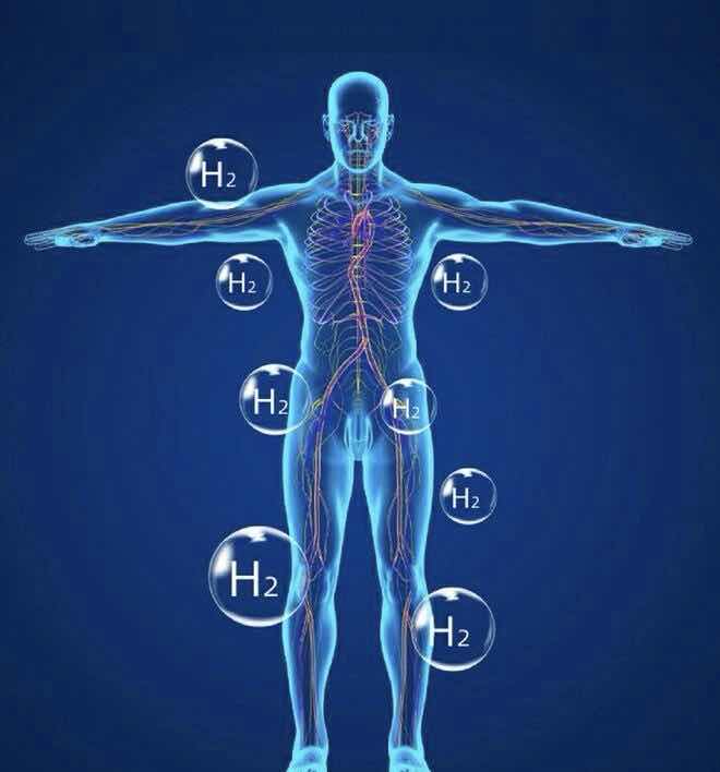 �⽡����Ʒ������ҿ�������Ŀ¼�����꽡�����������⡱����