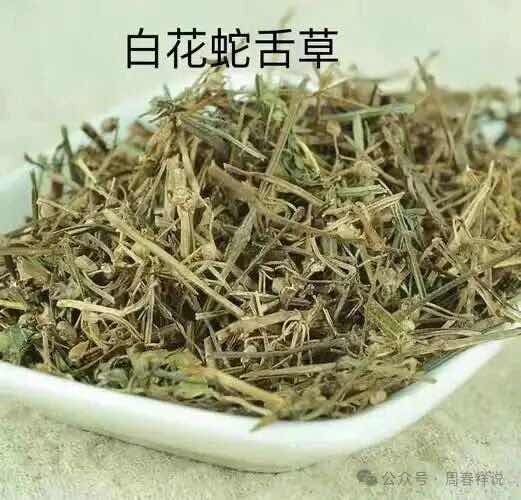 周春祥教授:两味药搭档,一清一补,把癌细胞“关在笼子里” 周春祥教授:两味药搭档,一清一补,把癌细胞“关在笼子里”