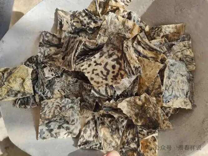 周春祥教授:两味药搭档,一清一补,把癌细胞“关在笼子里” 周春祥教授:两味药搭档,一清一补,把癌细胞“关在笼子里”